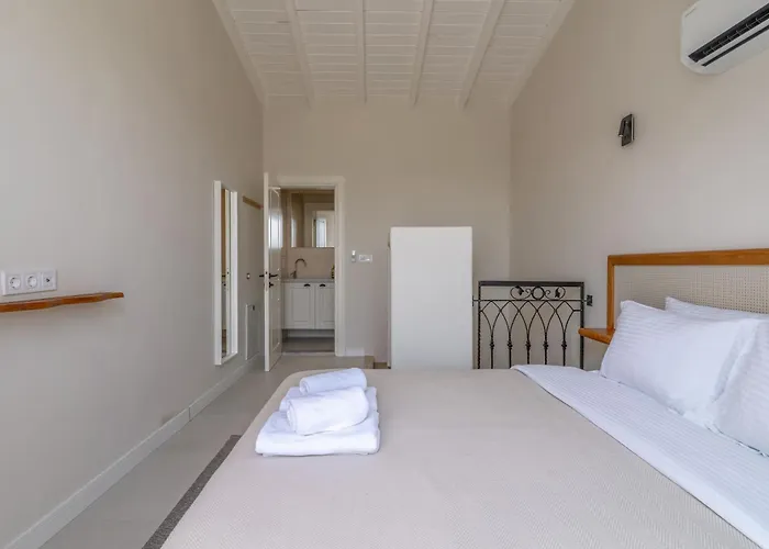 Naro Alacati Koeyici